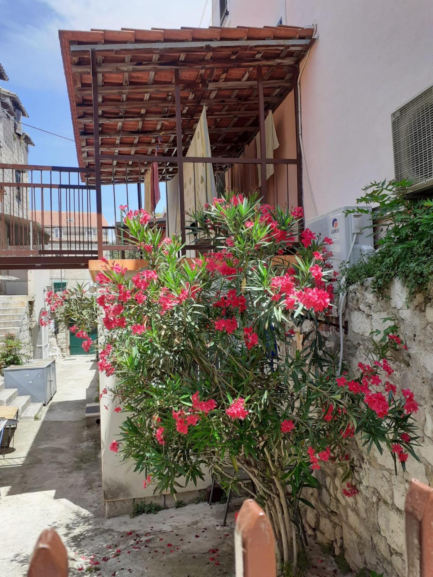 Oleander Apartamento