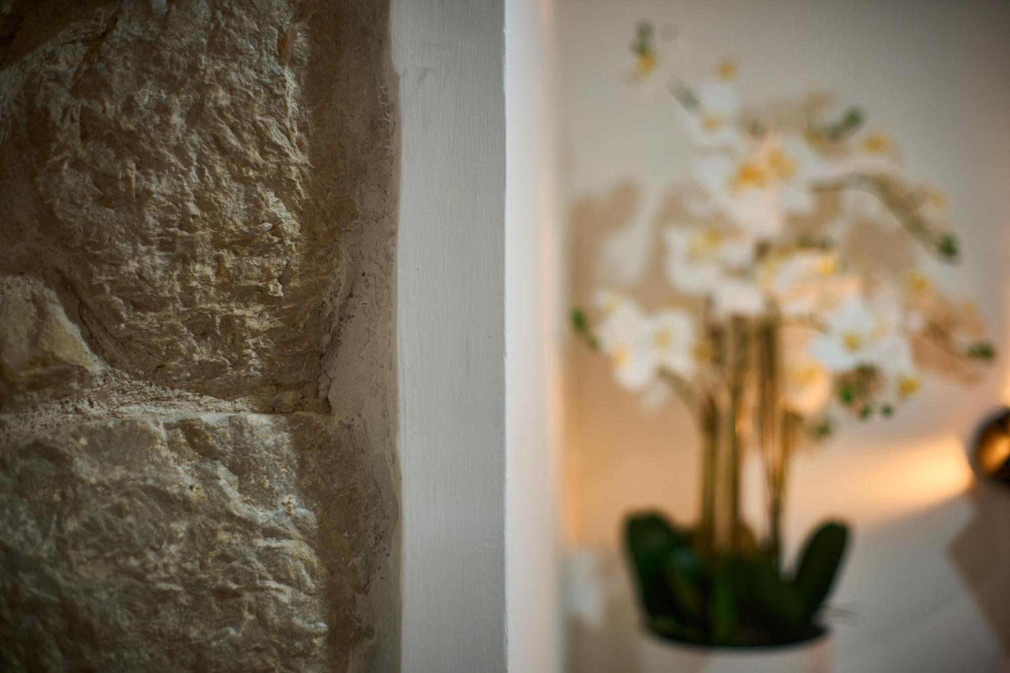Bernard Deluxe Renovated Peaceful Old Town Gem Apartment *