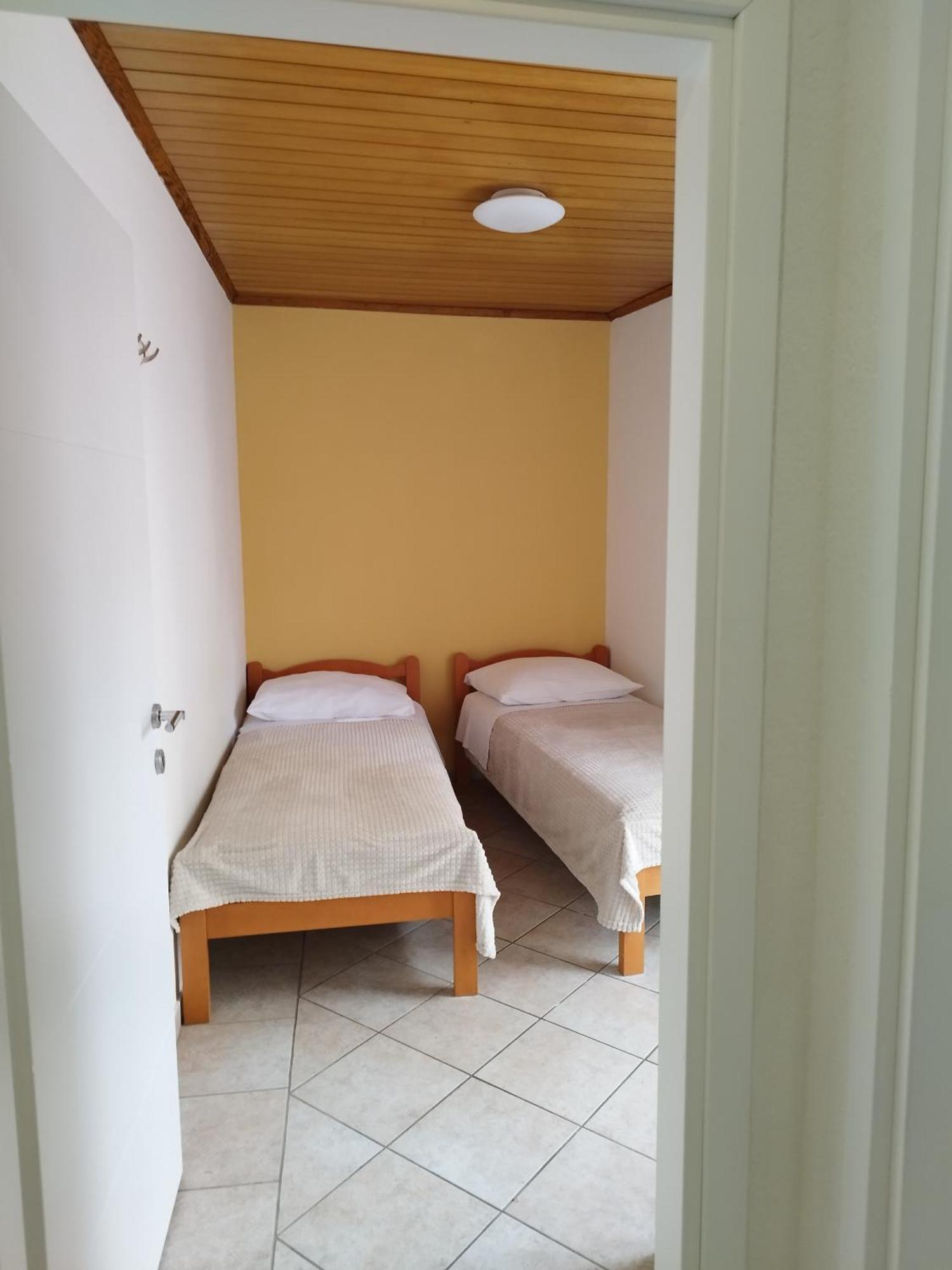 Lion Guest house *