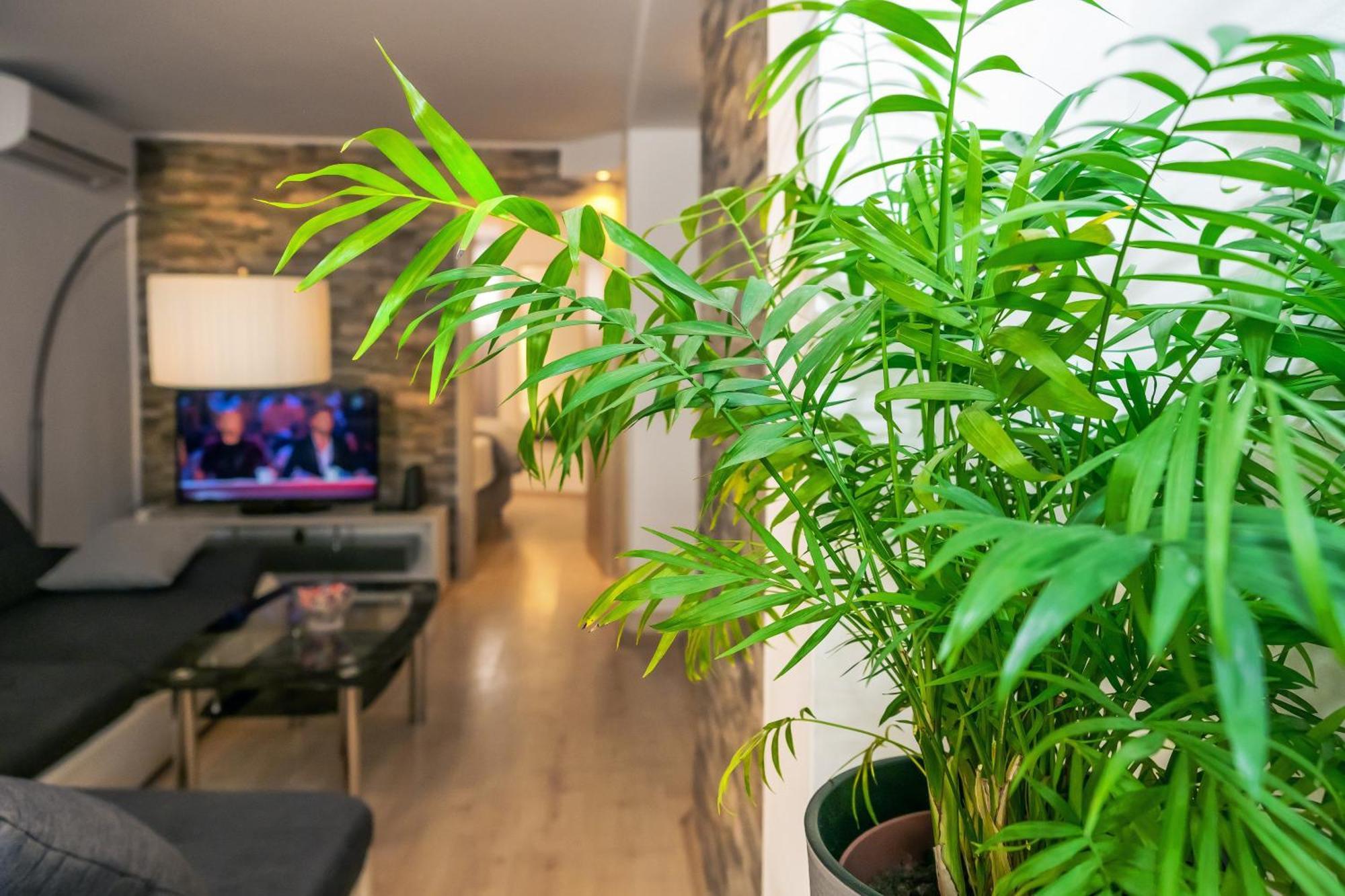 Apartman Relaxing 2bd Apartment, Ground Floor - Walk To Old Town Split
