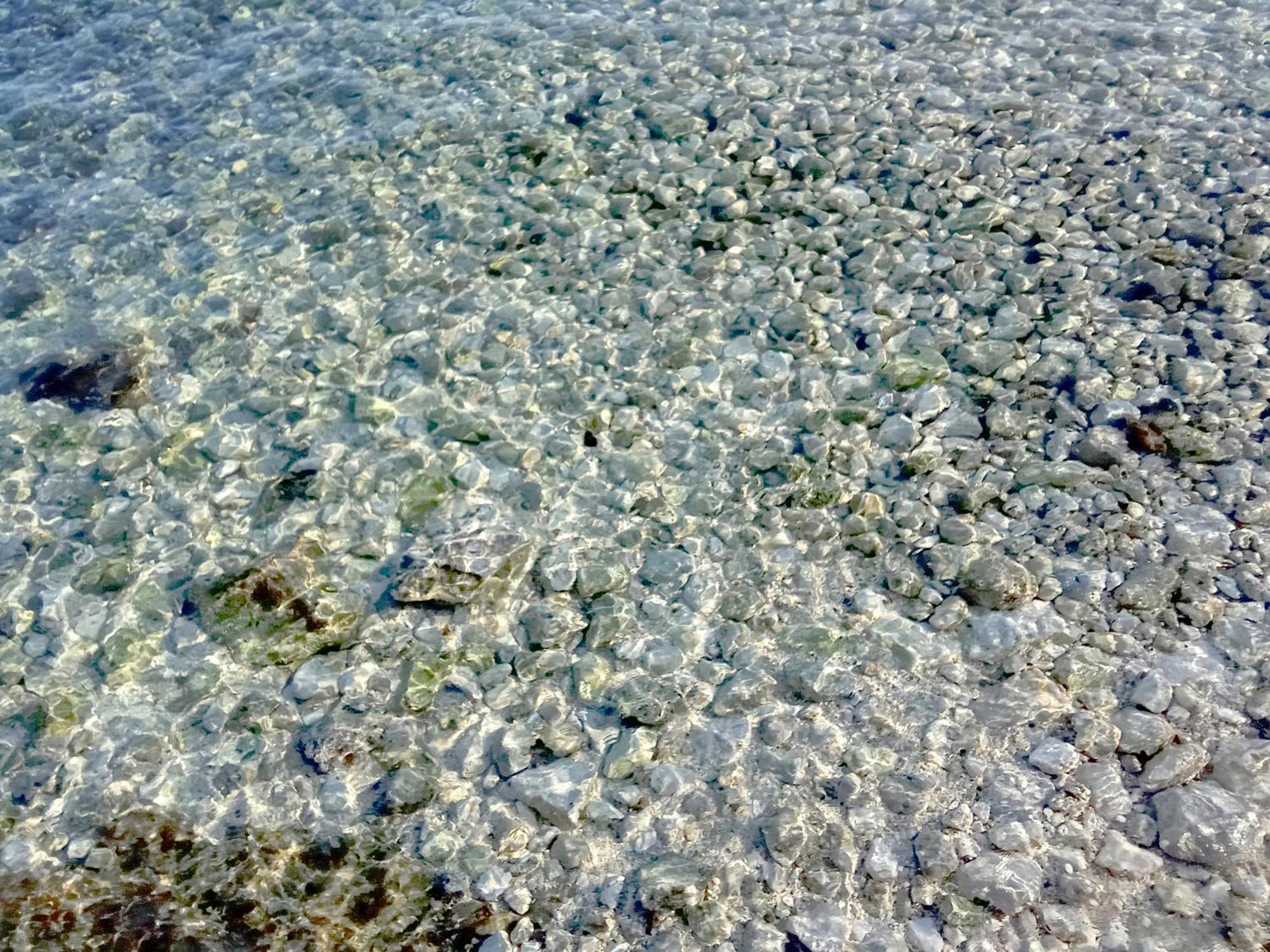 Homestay Adriatic Pearl *