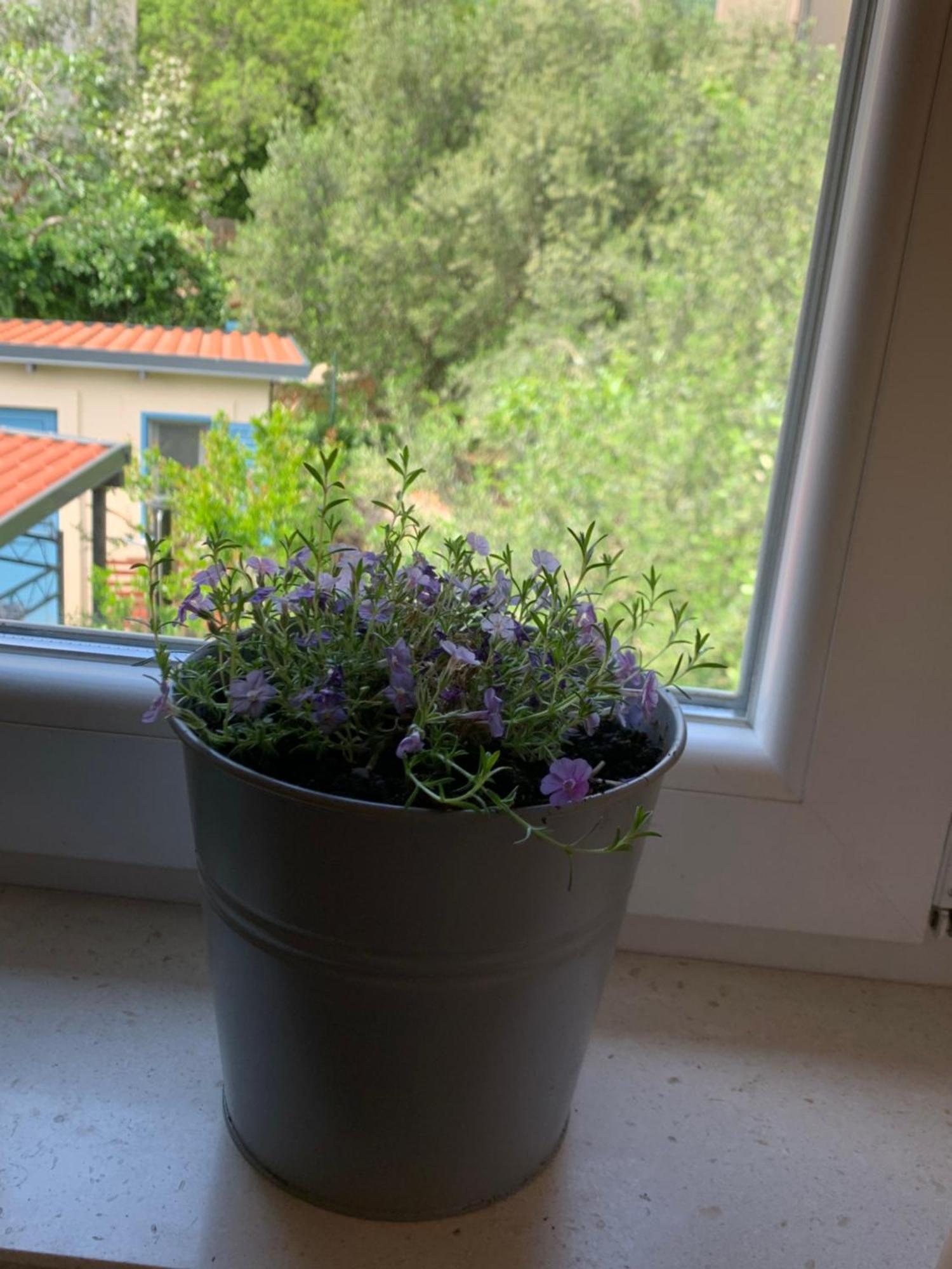 Apartamento Klara&ivan Split