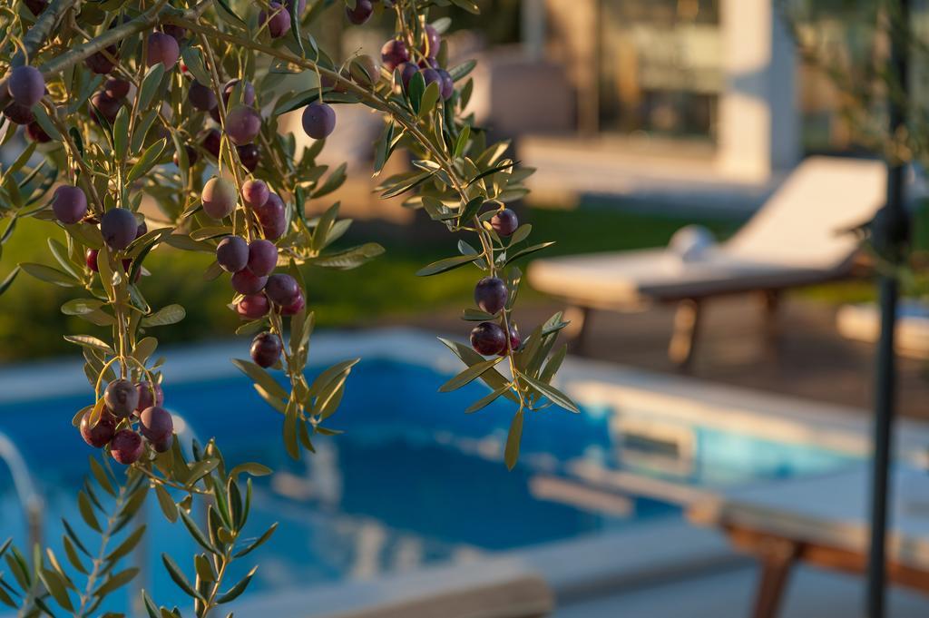Luxury Luminosa Villa Split