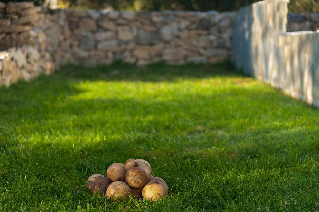Luxury Luminosa Villa *