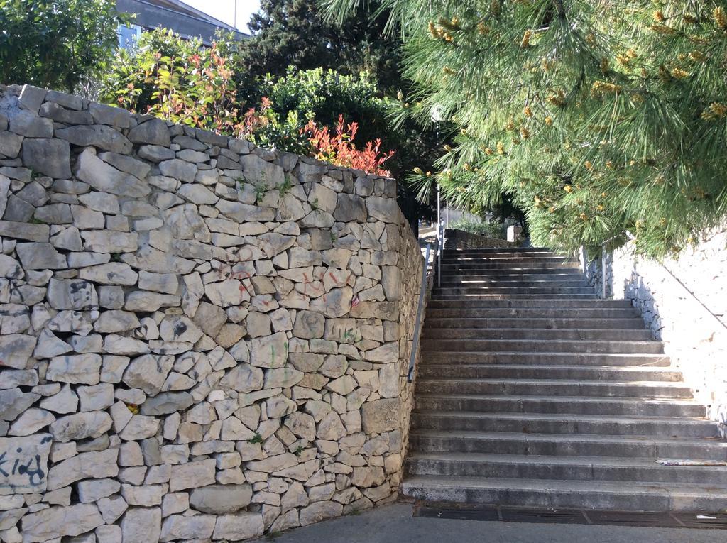 Apartman Macho Split
