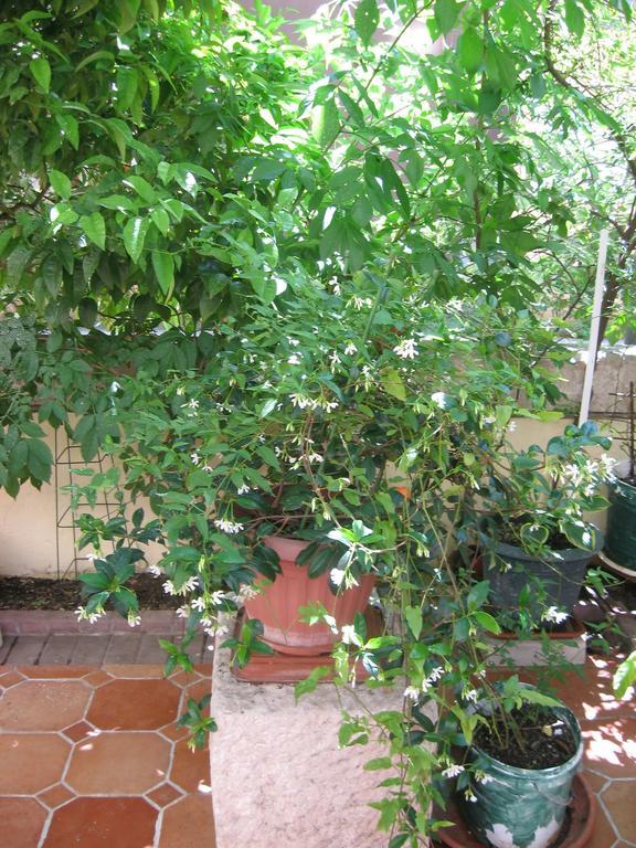 Apartamento Studio Antonio *