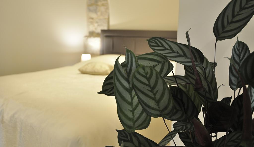 Stagnja Guest house 4*
