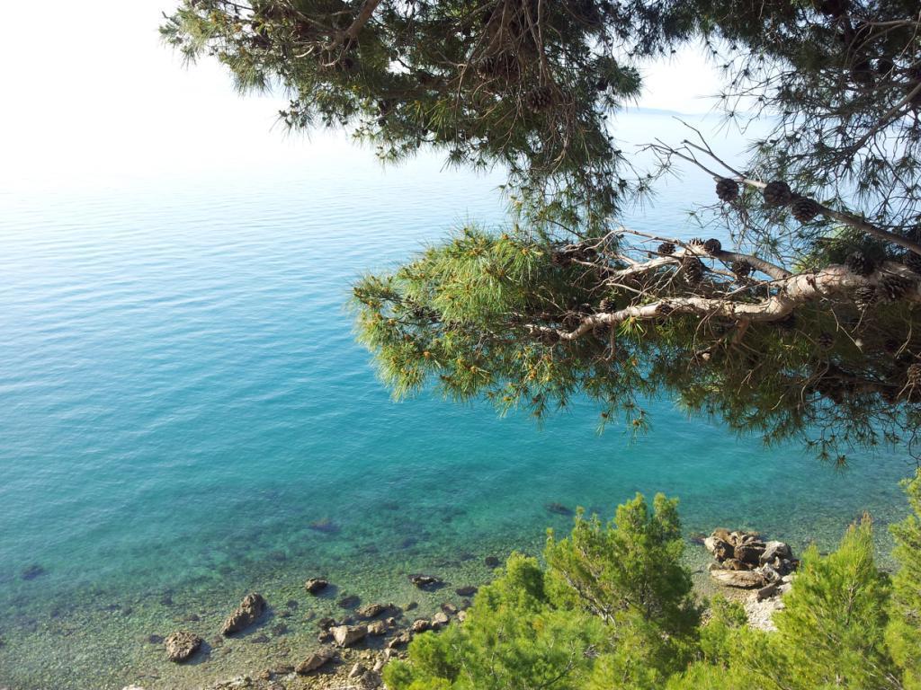 Apartman Rino Split