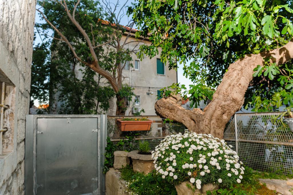 And Nona Stella Guest house 3*