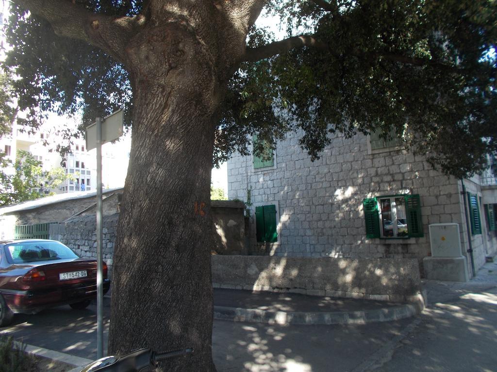 Darka Apartamento