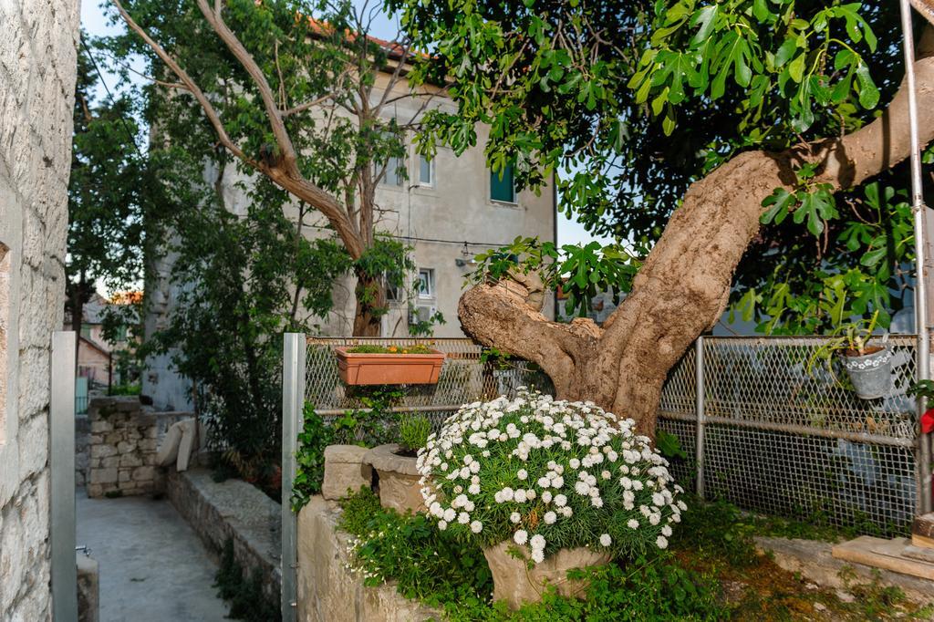 Guest house And Nona Stella 3*