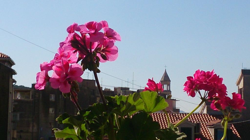 Appartement Spalatina *