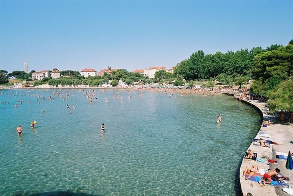 Vedrana *