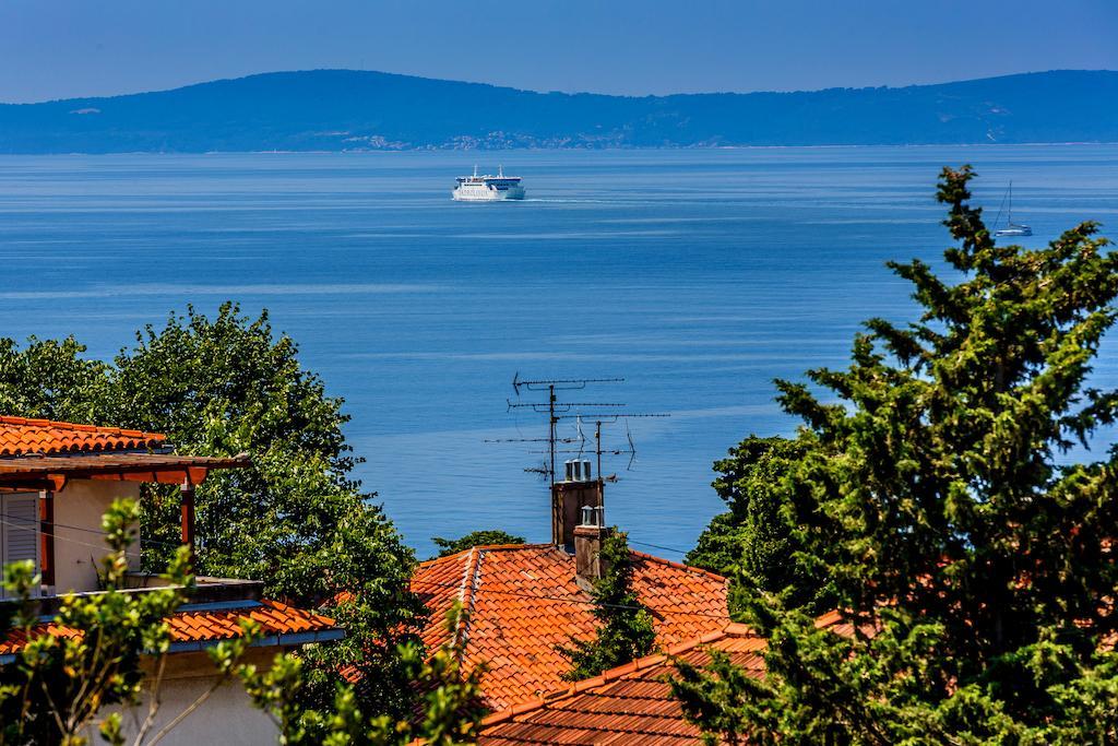 Zaninovic *