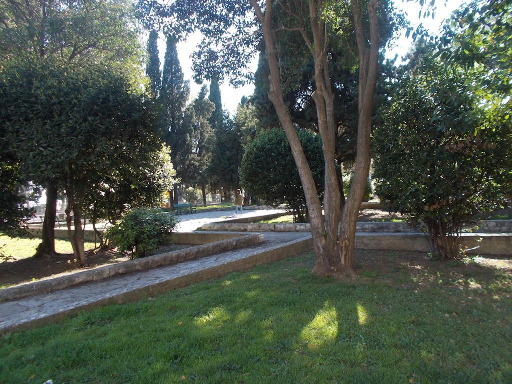 Darka Split
