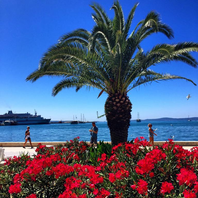 Apartment Happy Day Split