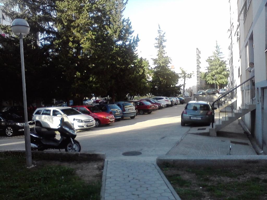 Apartment Calluna *