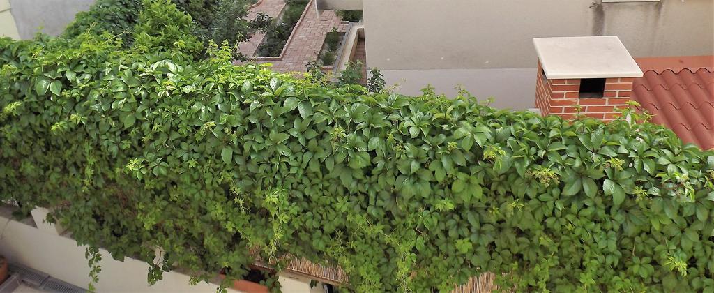 Guest house Vujevic Split