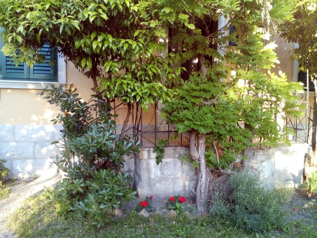Guest house Beach City Pearls 3*