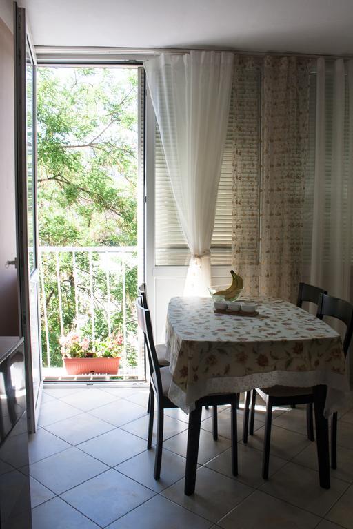 Appartement Dream Of *