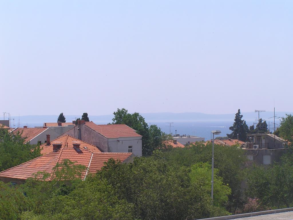 Near The Beach Split