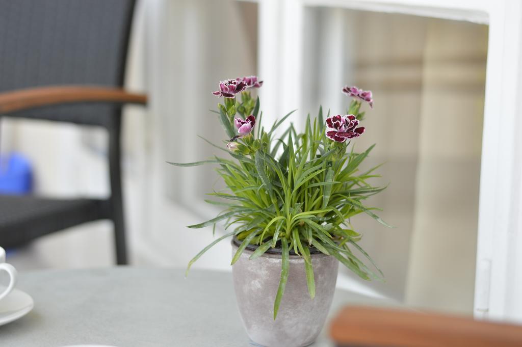 Apartman Luxury Living