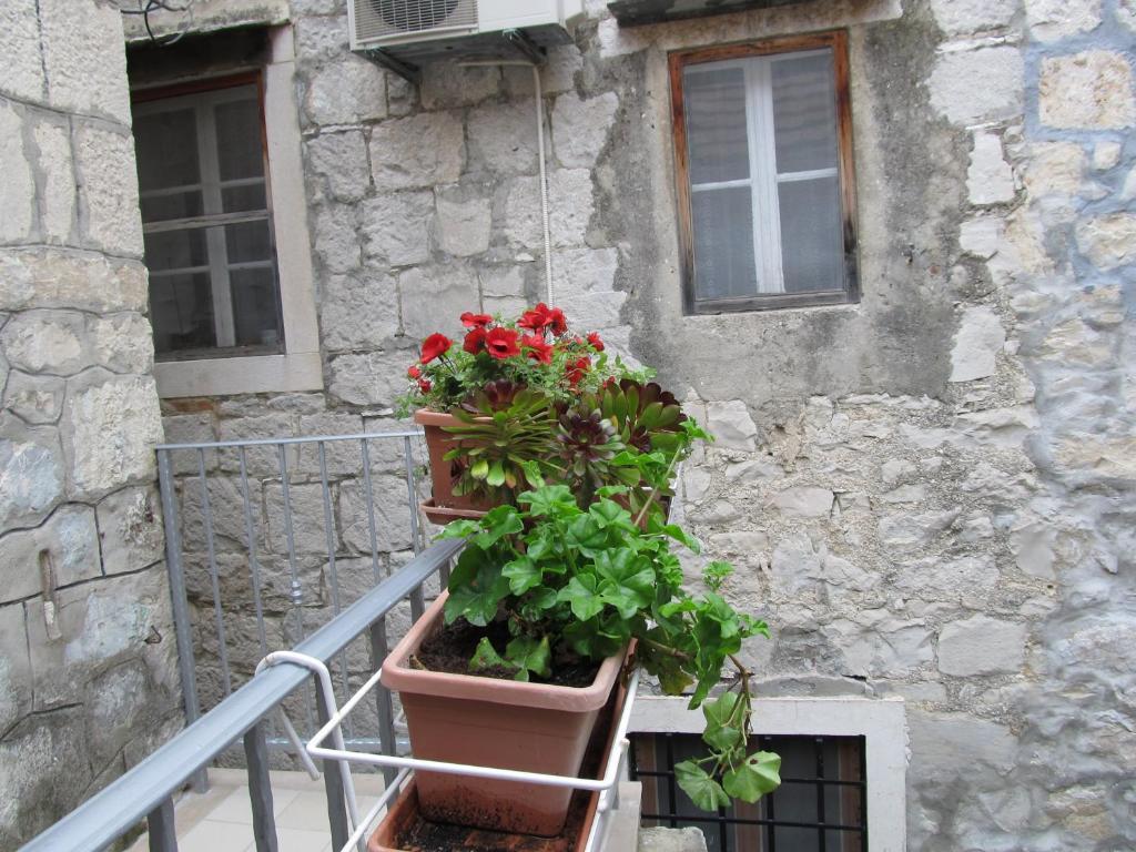 And Petra Gostinjska kuća