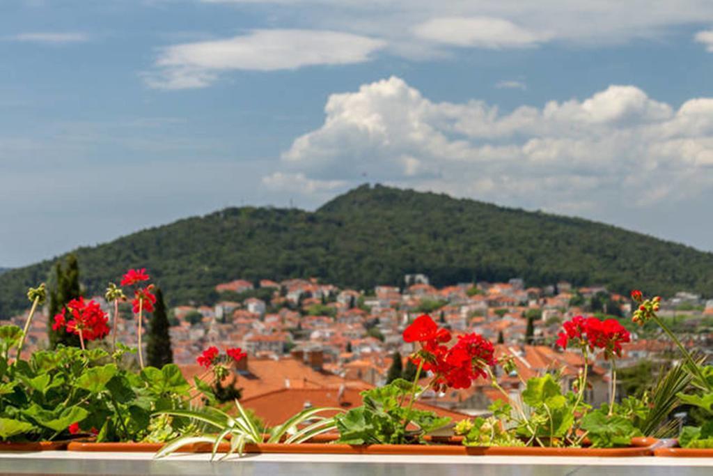 Appartement Palm Penthouse Terrace *