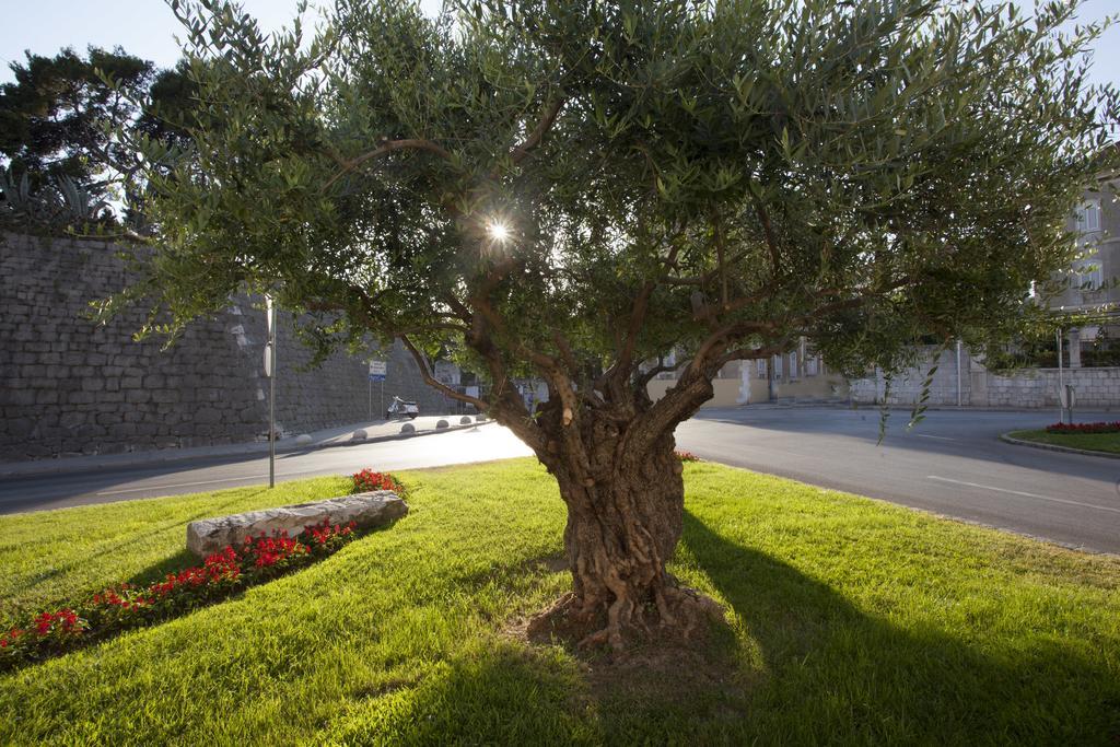 Apartman Luca