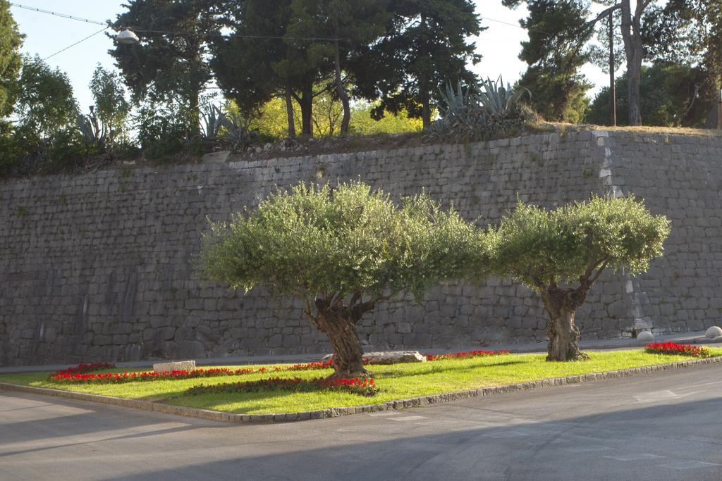Luca