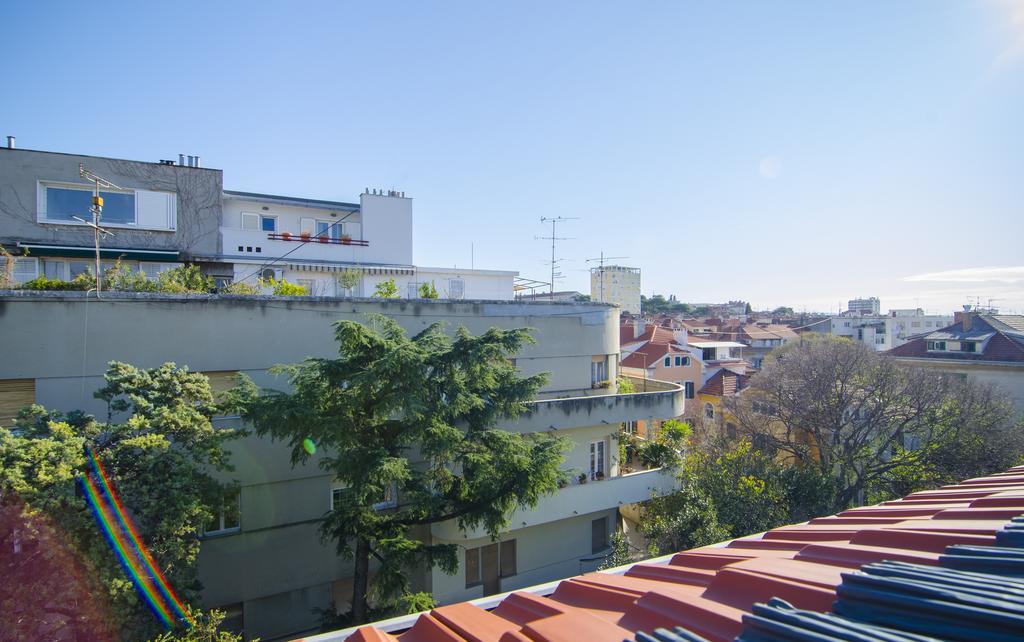 Maestro Duplex Istarska