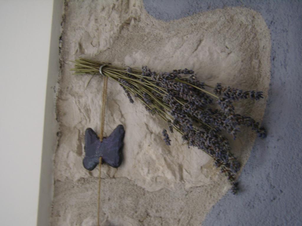 Apartment Lavender