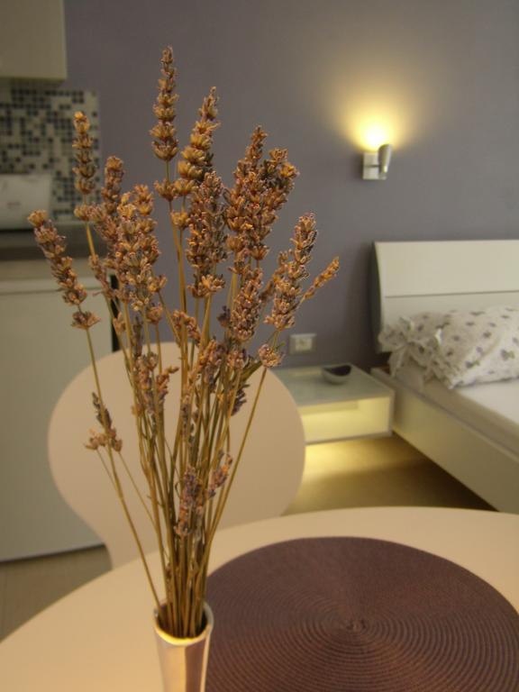 Studio Lavender * Split