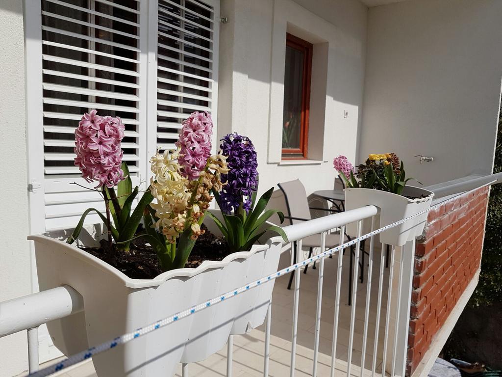 Vice Mali Apartment