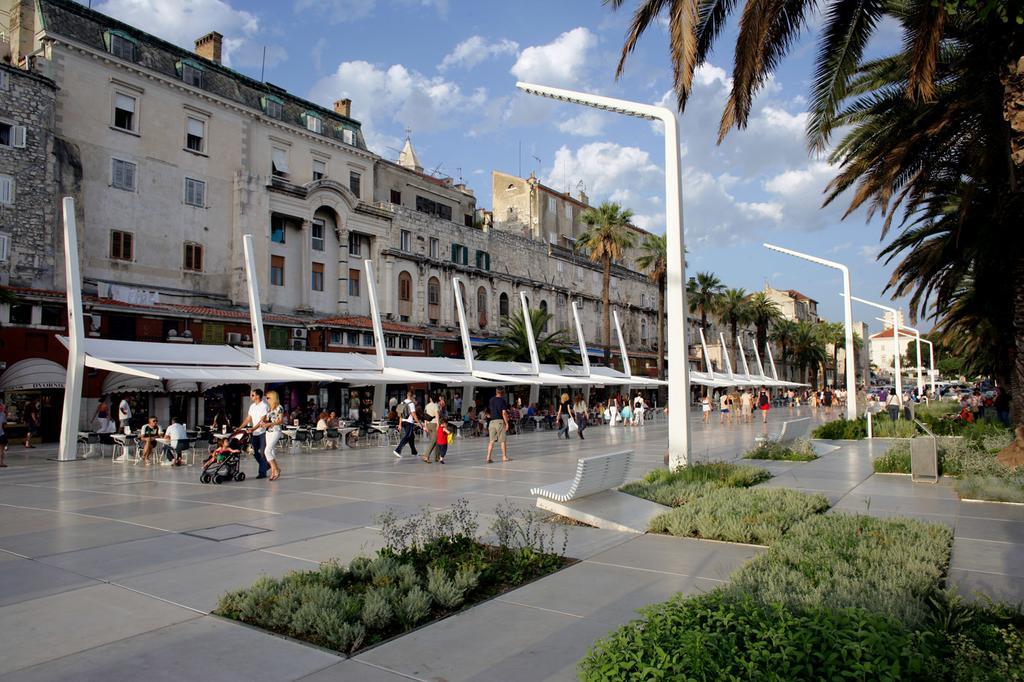 Vedrana *