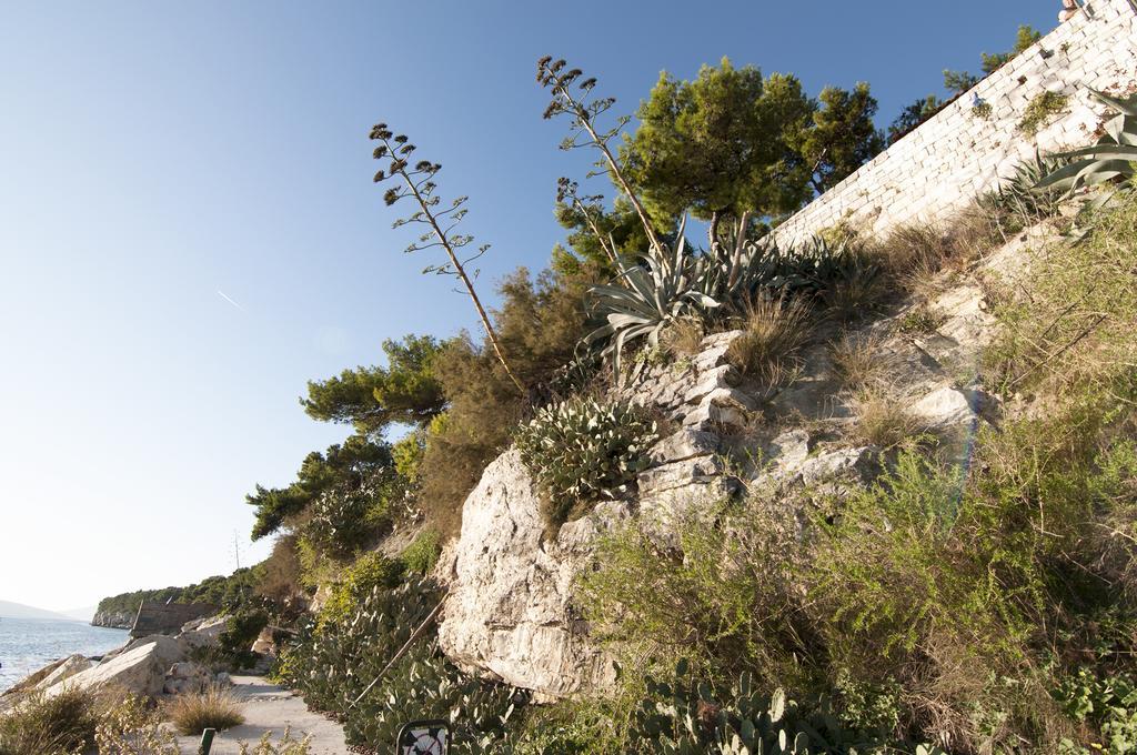 Poolside Paradise - A Hidden Gem In Split Split