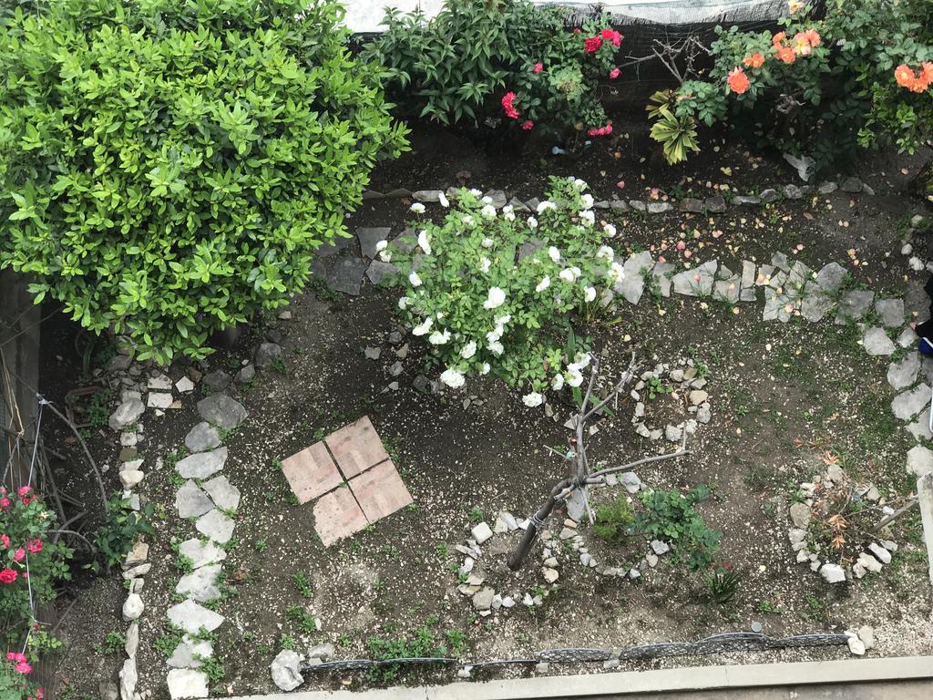 Tortosa Blue Gostinjska kuća 3*