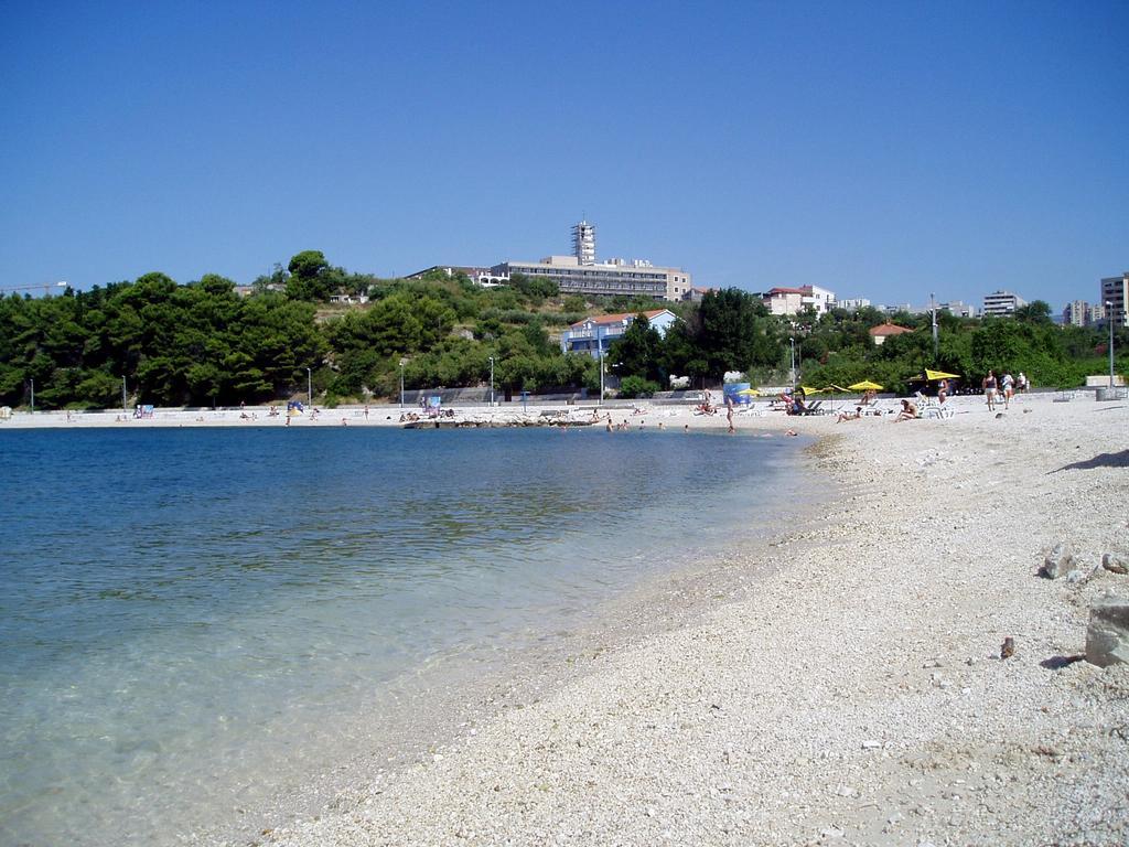 Palma