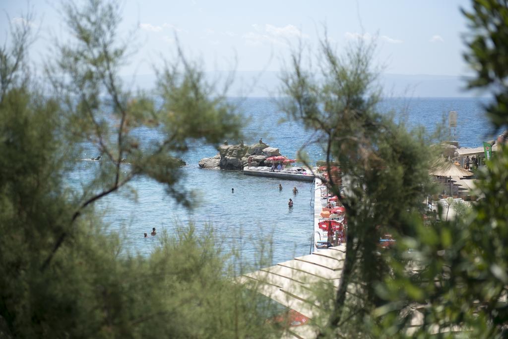 Apartment Dragica *