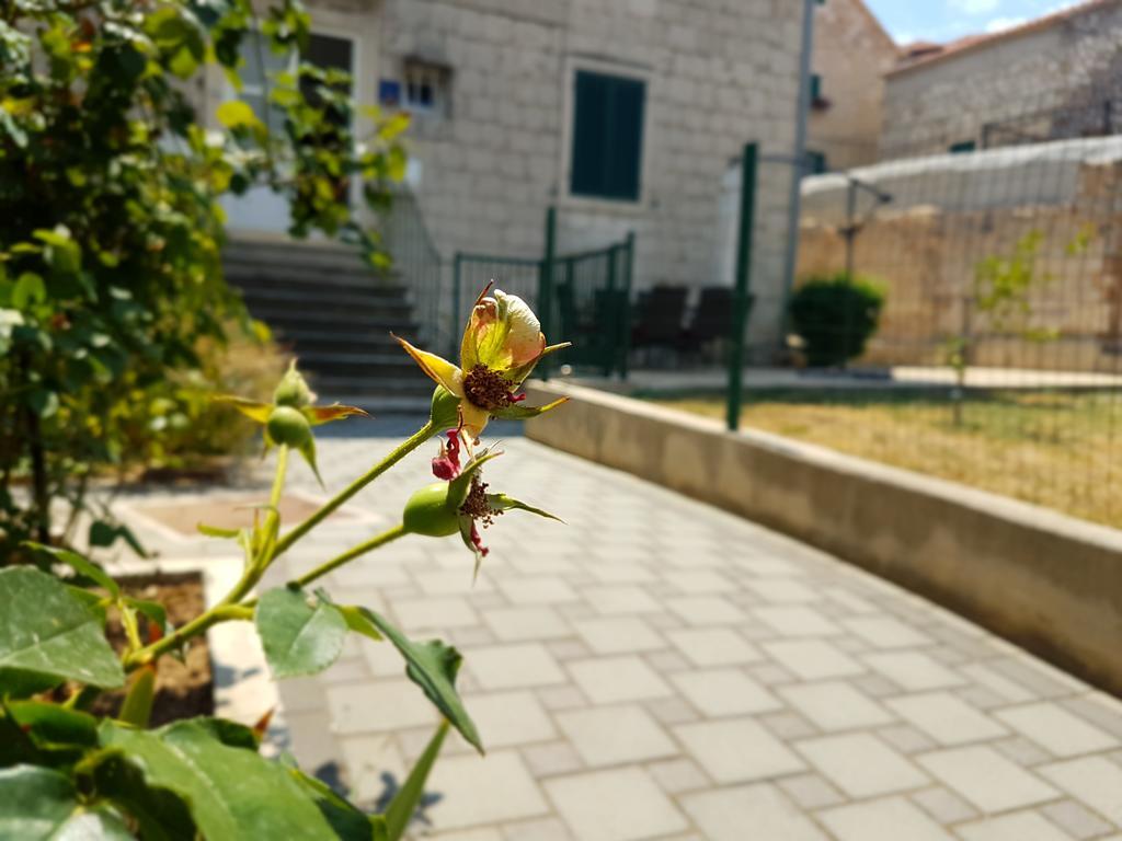 Cetina Apartment