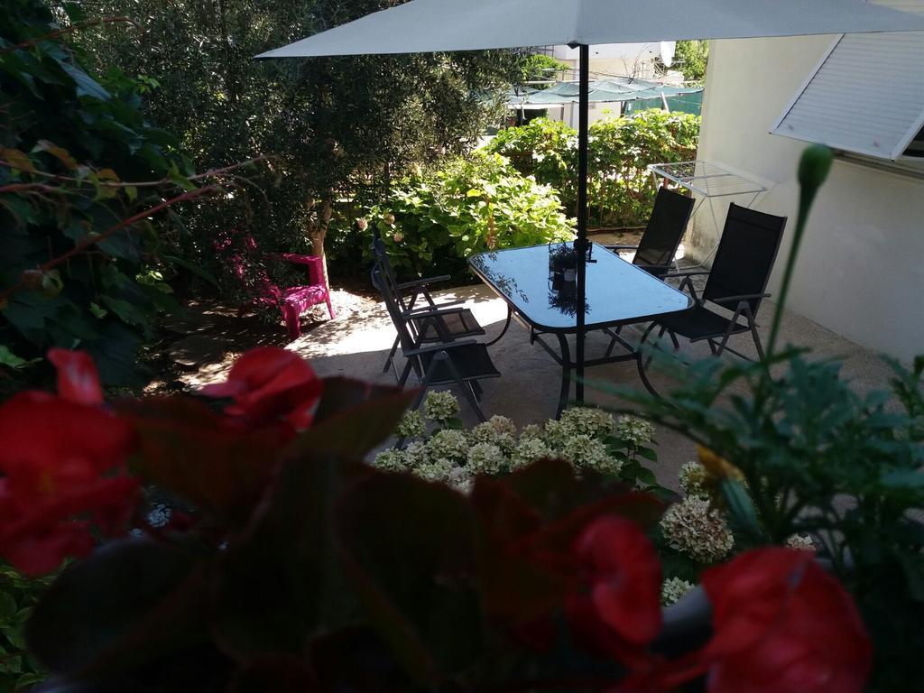Apartment Olive Tree