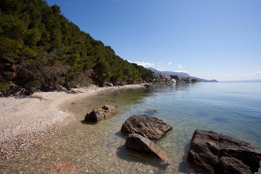 Cetina