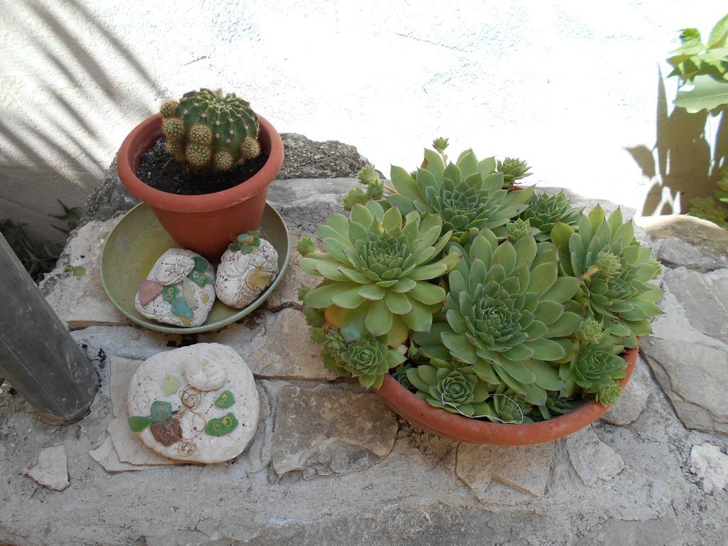 Apartment Ante * Split