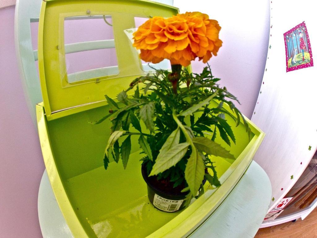 Hostel Backpackers Fairytale Split