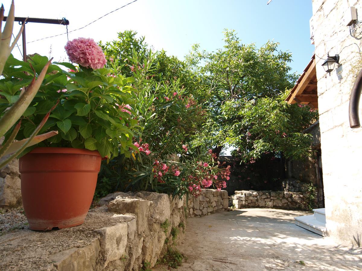 Mediterano - Center