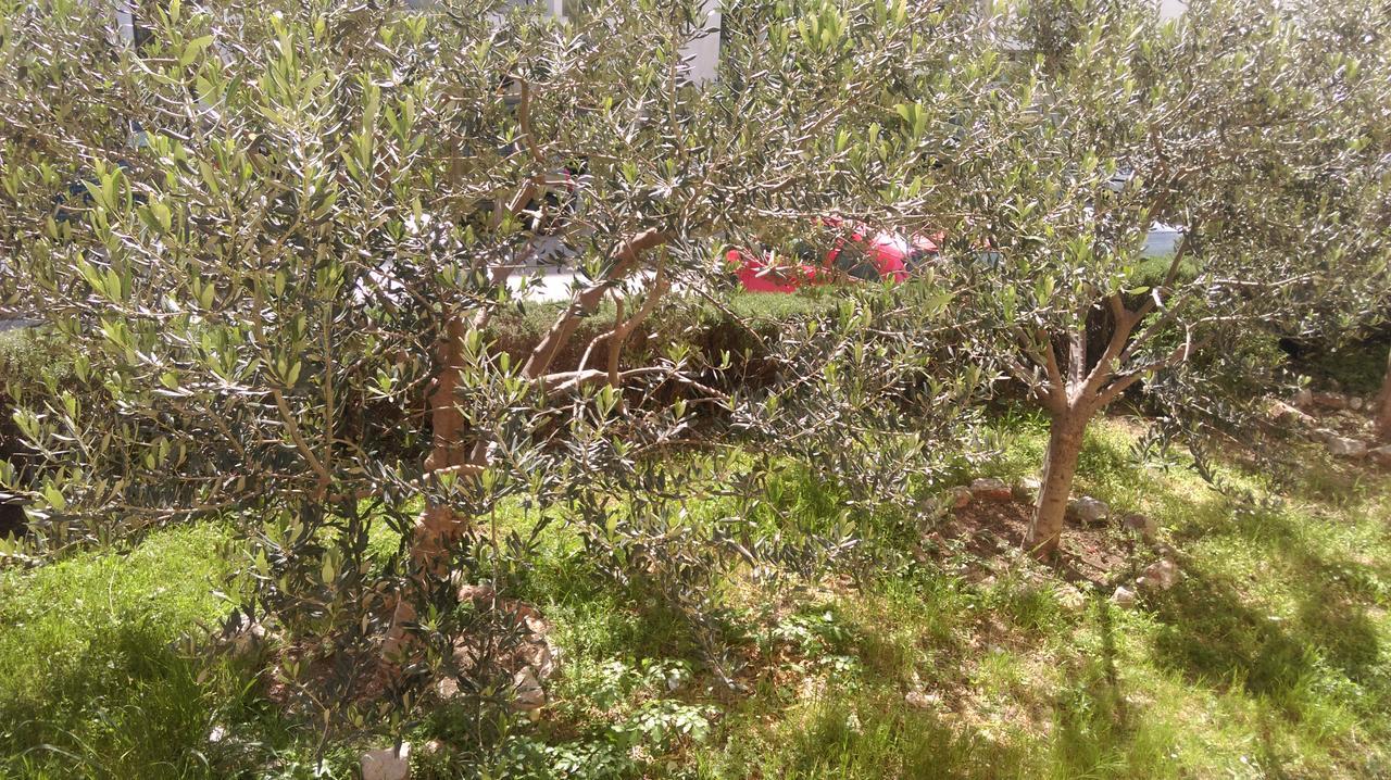 Apartamento Sunny Split