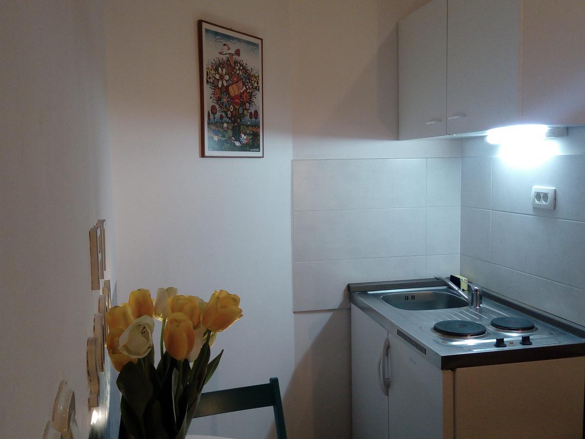 Optimist/city Break Apartment