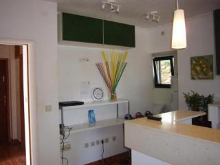 Hotel Green Lizard