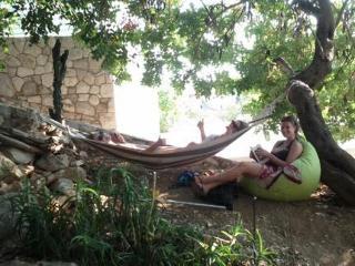 Green Lizard Hotel *