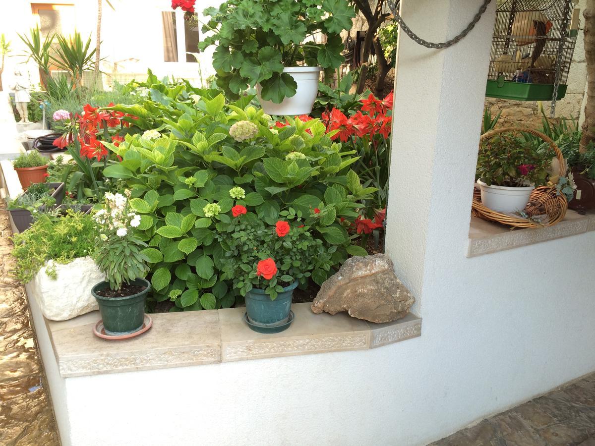 Kresic Guest house